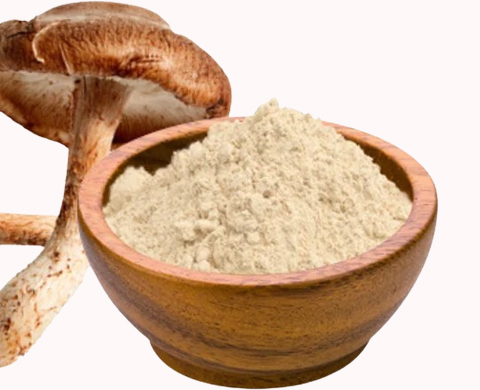 mushroom powder